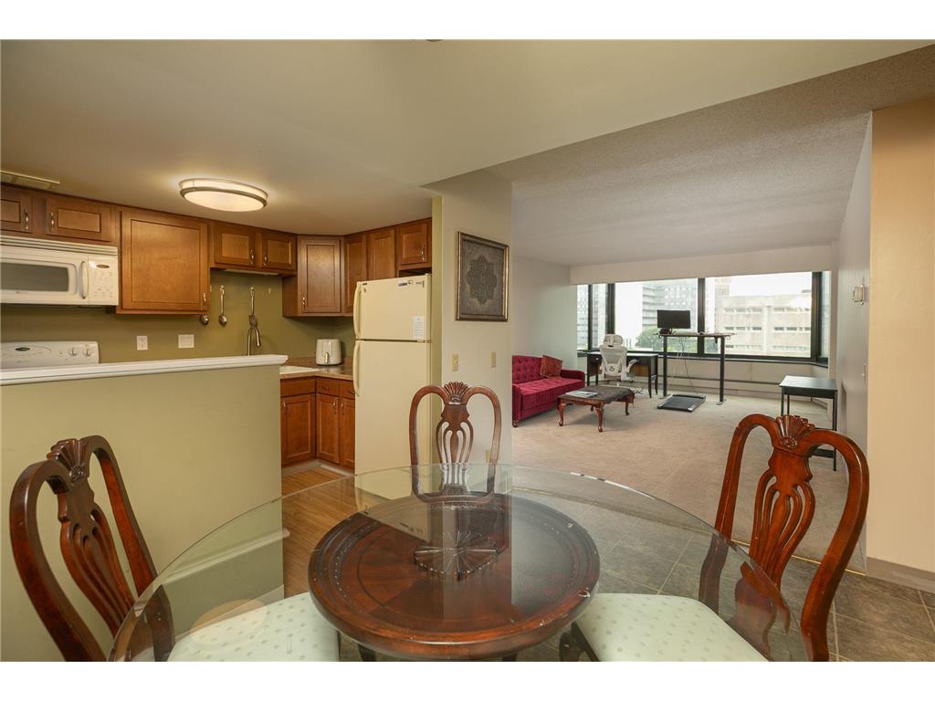 207 5th Avenue SW #407 Rochester MN 55902 6721076 image16