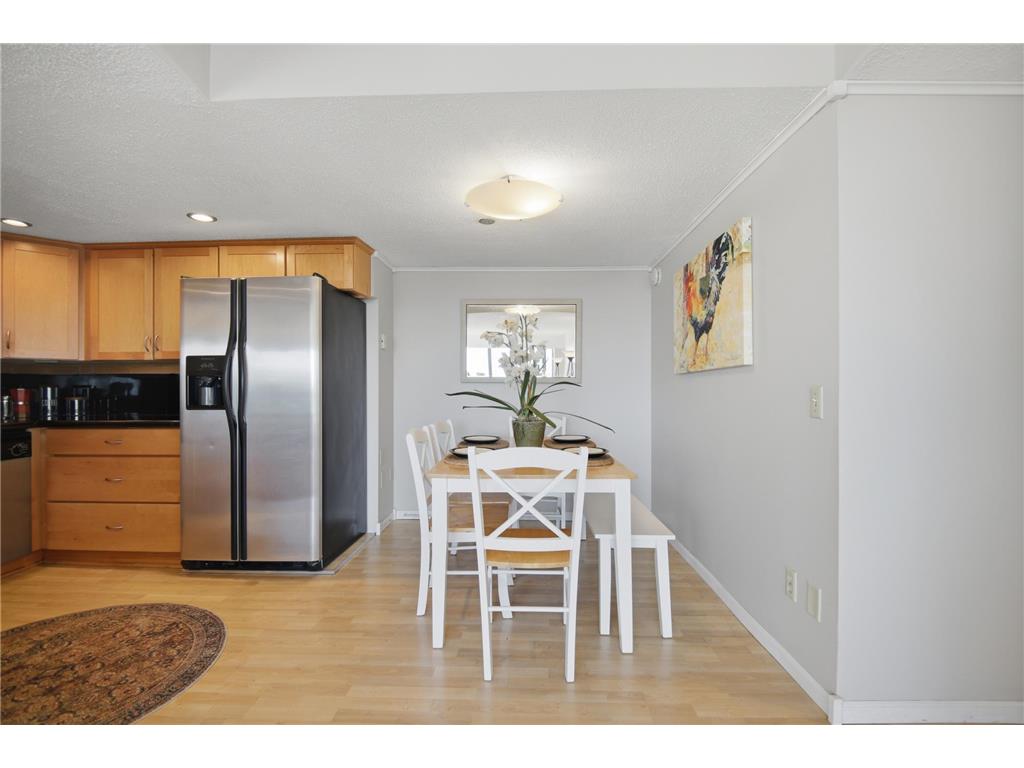 207 5th Avenue SW #802 Rochester MN 55902 6762664 image10