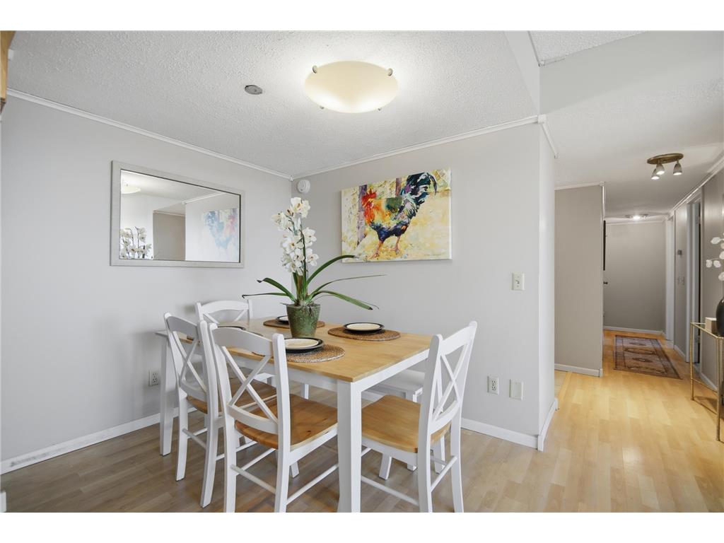 207 5th Avenue SW #802 Rochester MN 55902 6762664 image11