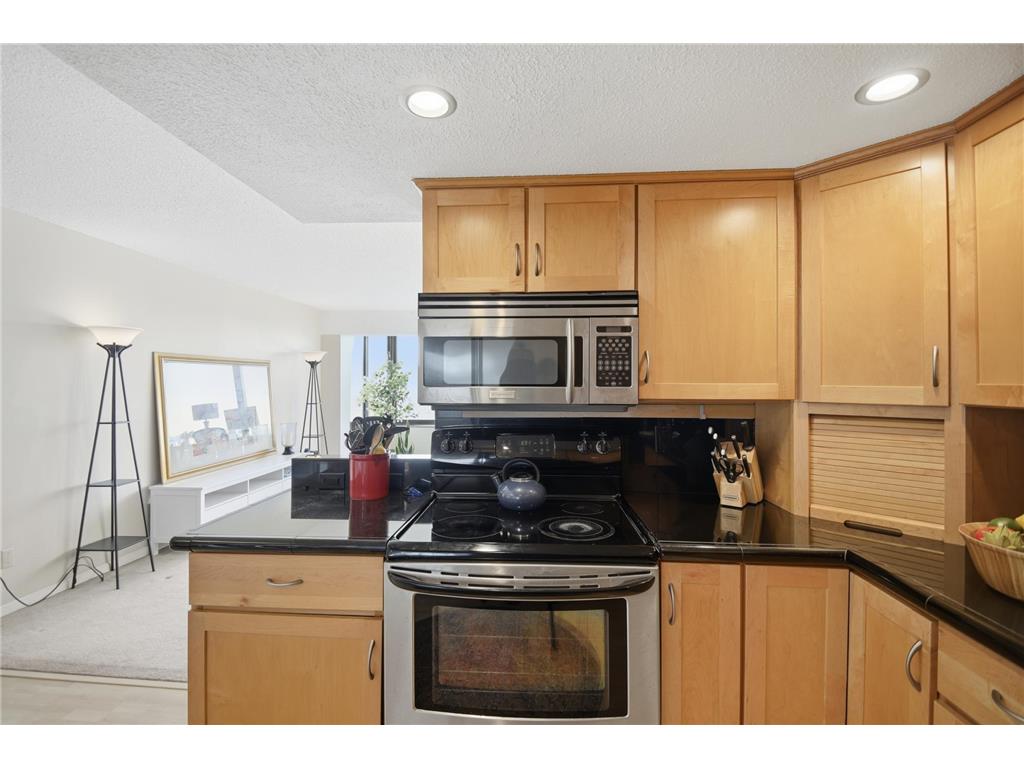 207 5th Avenue SW #802 Rochester MN 55902 6762664 image13