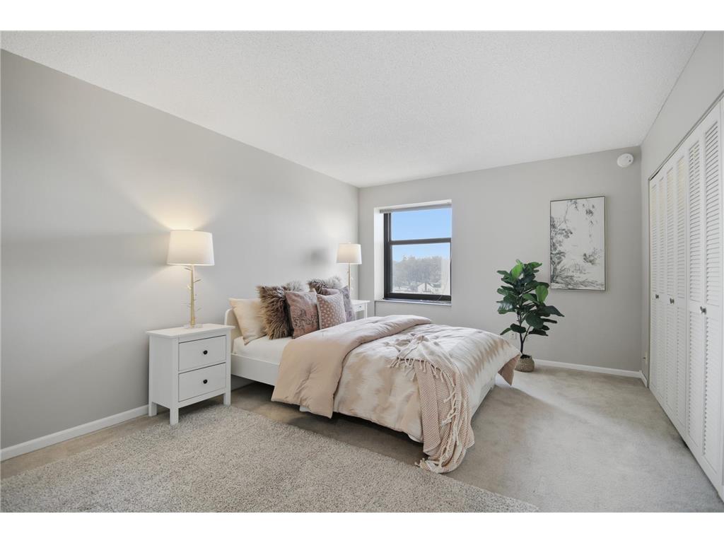 207 5th Avenue SW #802 Rochester MN 55902 6762664 image15