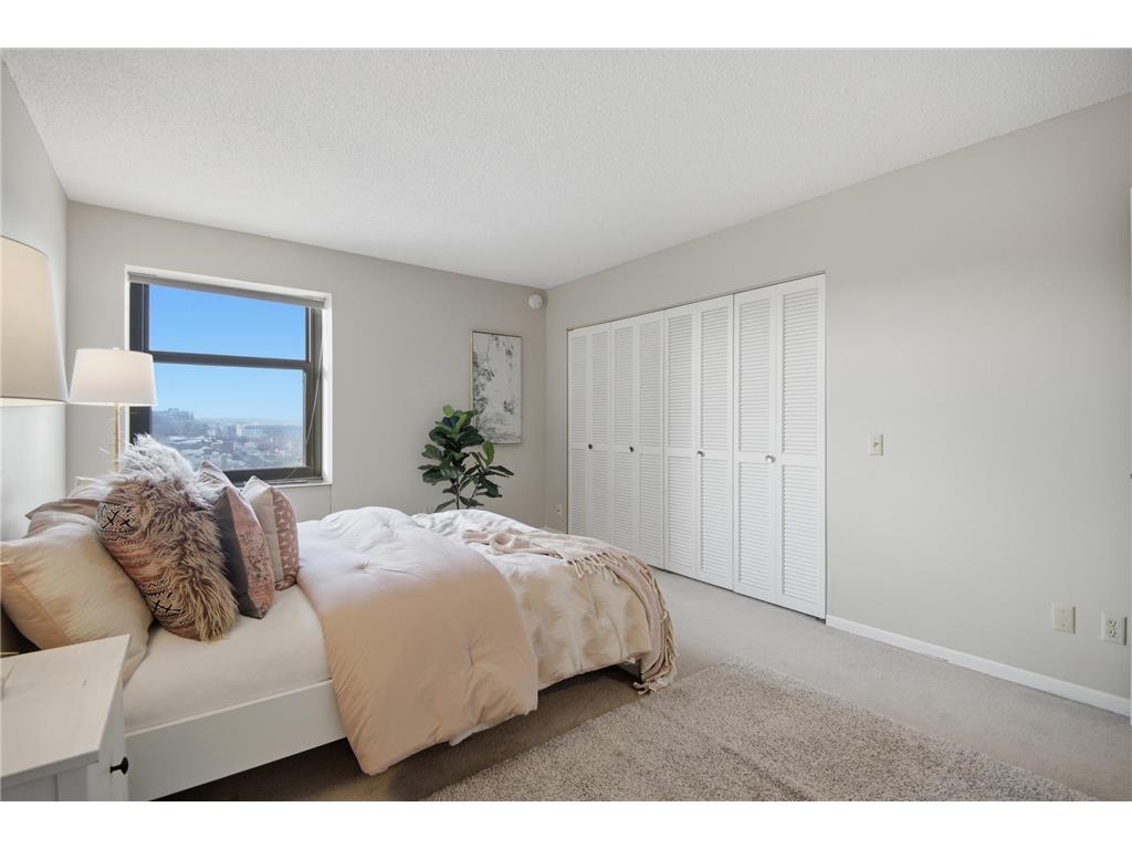 207 5th Avenue SW #802 Rochester MN 55902 6762664 image17