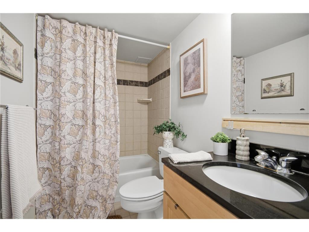 207 5th Avenue SW #802 Rochester MN 55902 6762664 image18