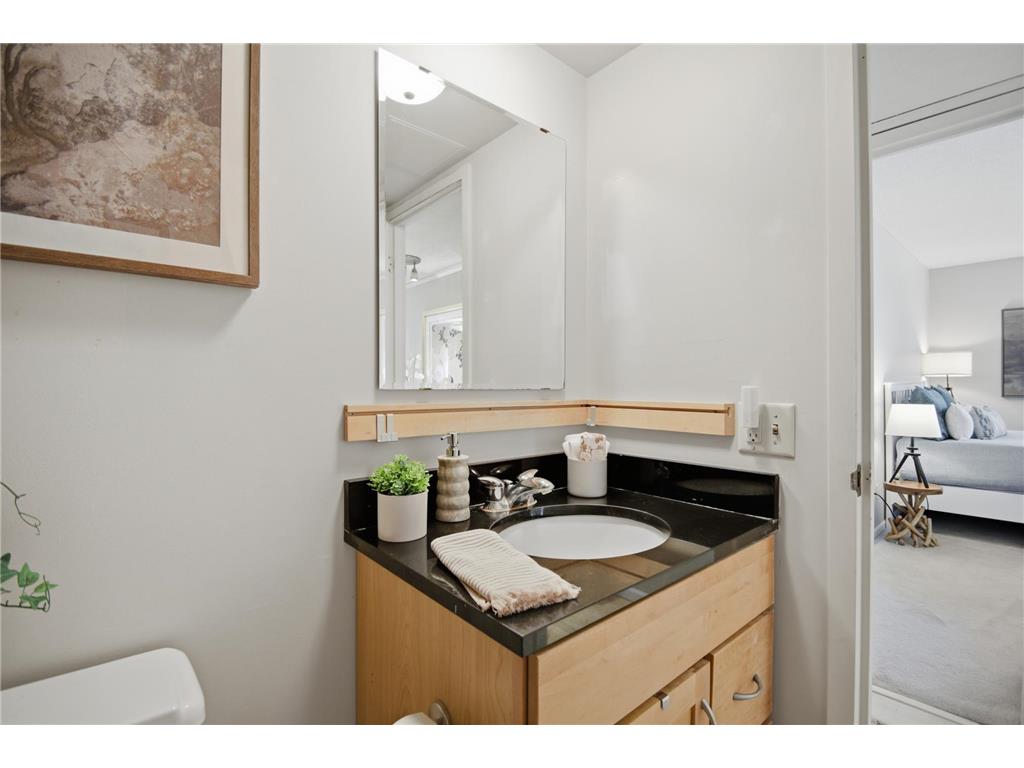 207 5th Avenue SW #802 Rochester MN 55902 6762664 image19