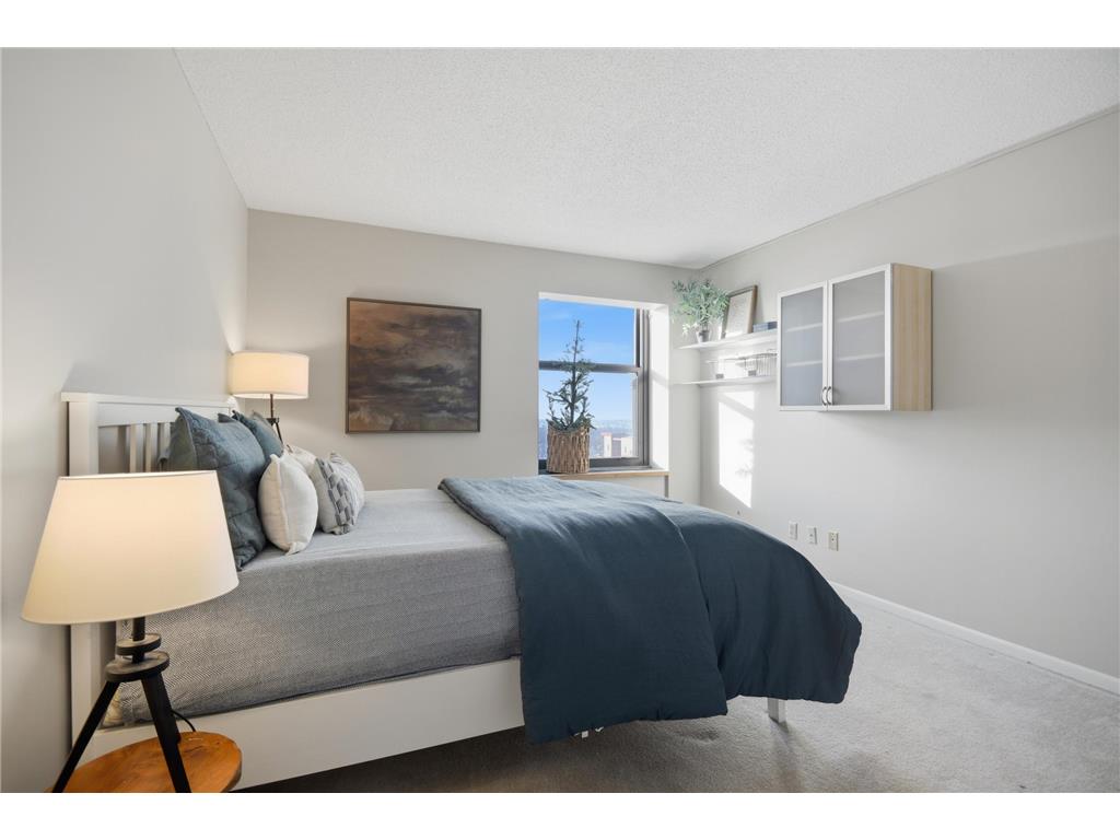 207 5th Avenue SW #802 Rochester MN 55902 6762664 image21