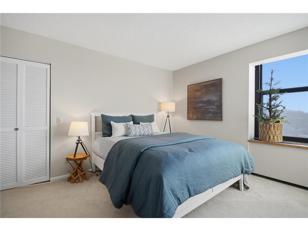 207 5th Avenue SW #802 Rochester MN 55902 6762664 image22