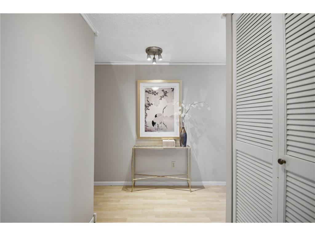 207 5th Avenue SW #802 Rochester MN 55902 6762664 image5