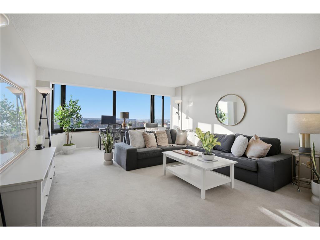 207 5th Avenue SW #802 Rochester MN 55902 6762664 image6