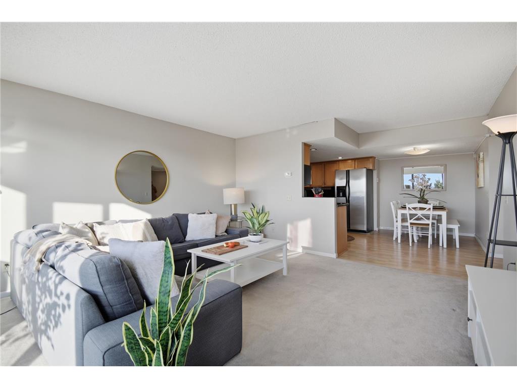 207 5th Avenue SW #802 Rochester MN 55902 6762664 image7