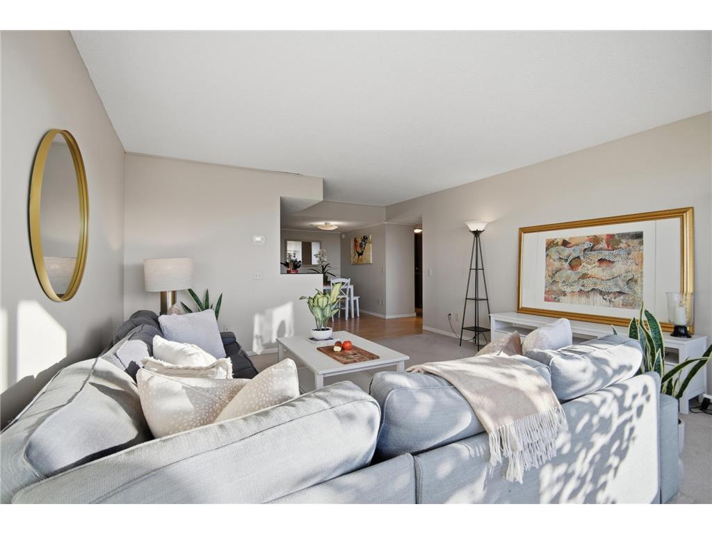 207 5th Avenue SW #802 Rochester MN 55902 6762664 image8