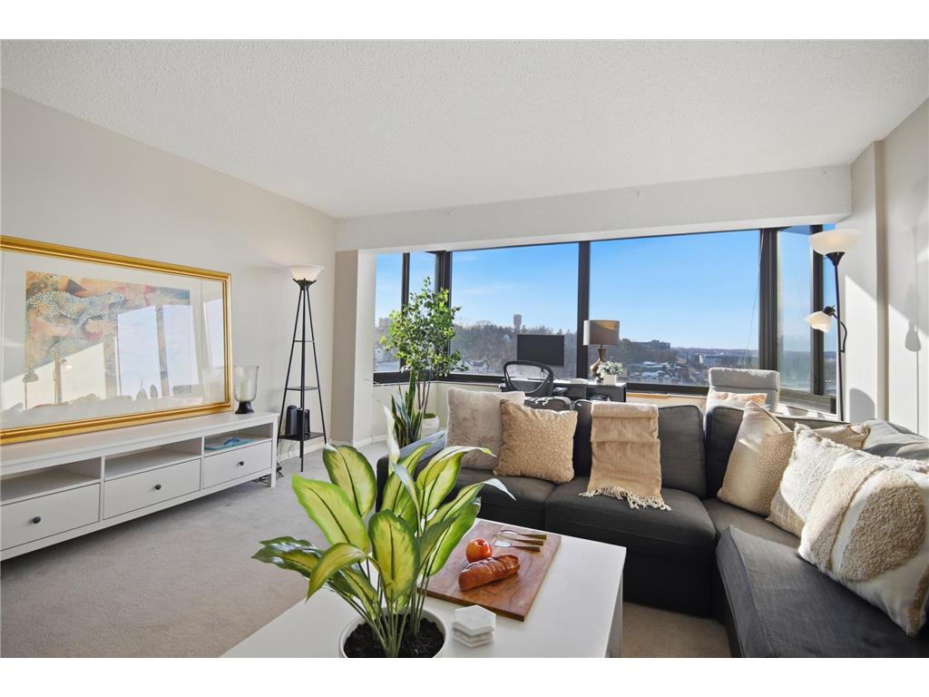 207 5th Avenue SW #802 Rochester MN 55902 6762664 image9