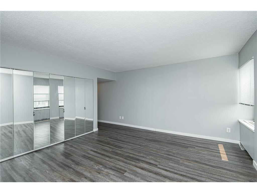 207 5th Avenue SW #805 Rochester MN 55902 7097080 image10