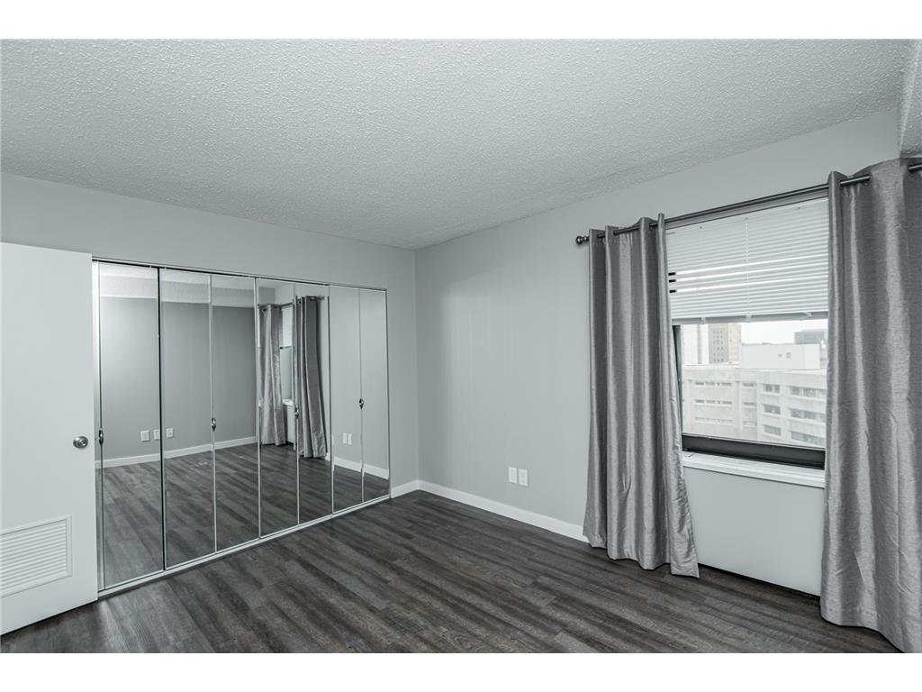207 5th Avenue SW #805 Rochester MN 55902 7097080 image14