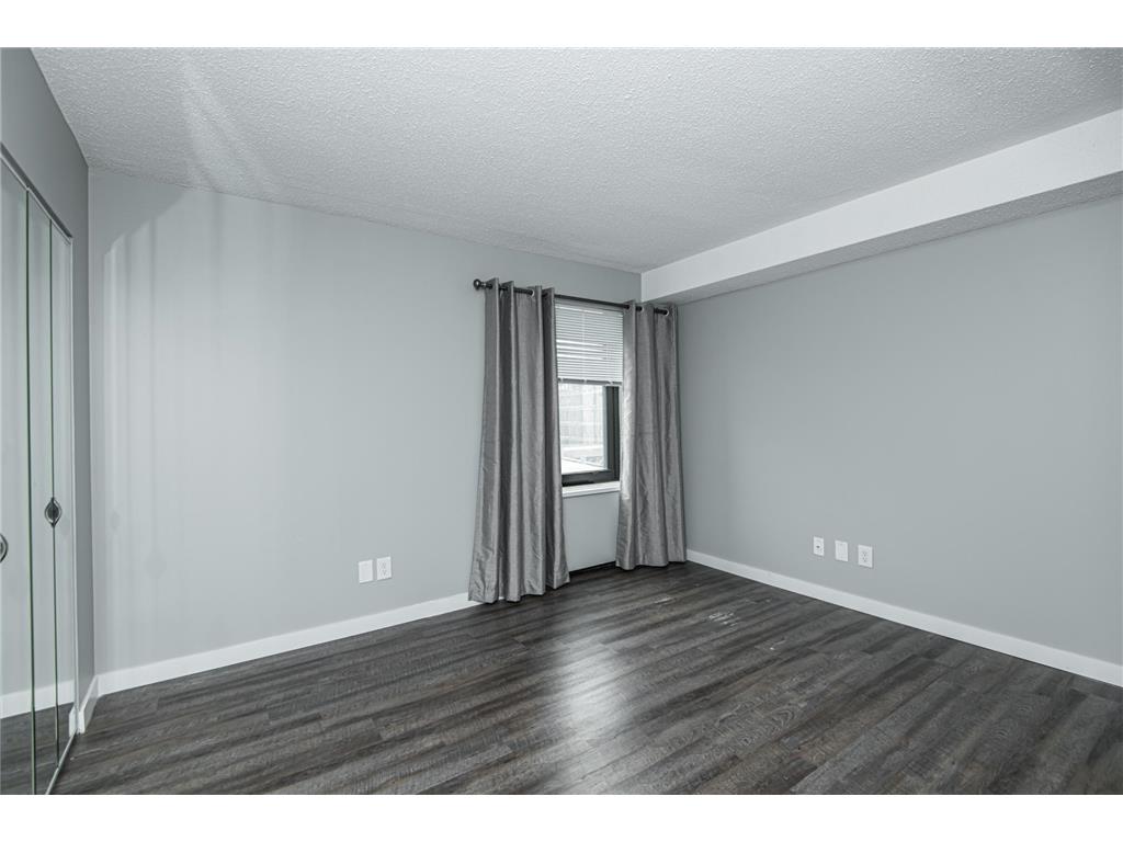 207 5th Avenue SW #805 Rochester MN 55902 7097080 image15