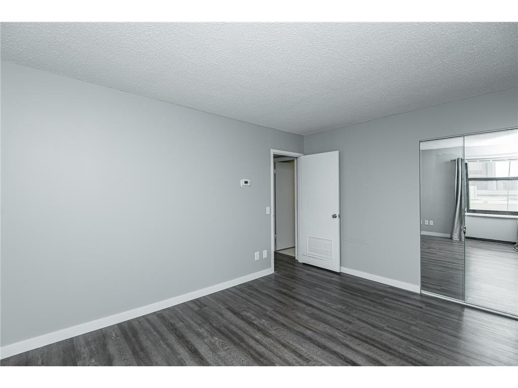 207 5th Avenue SW #805 Rochester MN 55902 7097080 image16