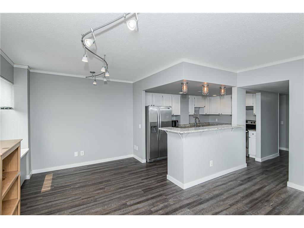 207 5th Avenue SW #805 Rochester MN 55902 7097080 image23