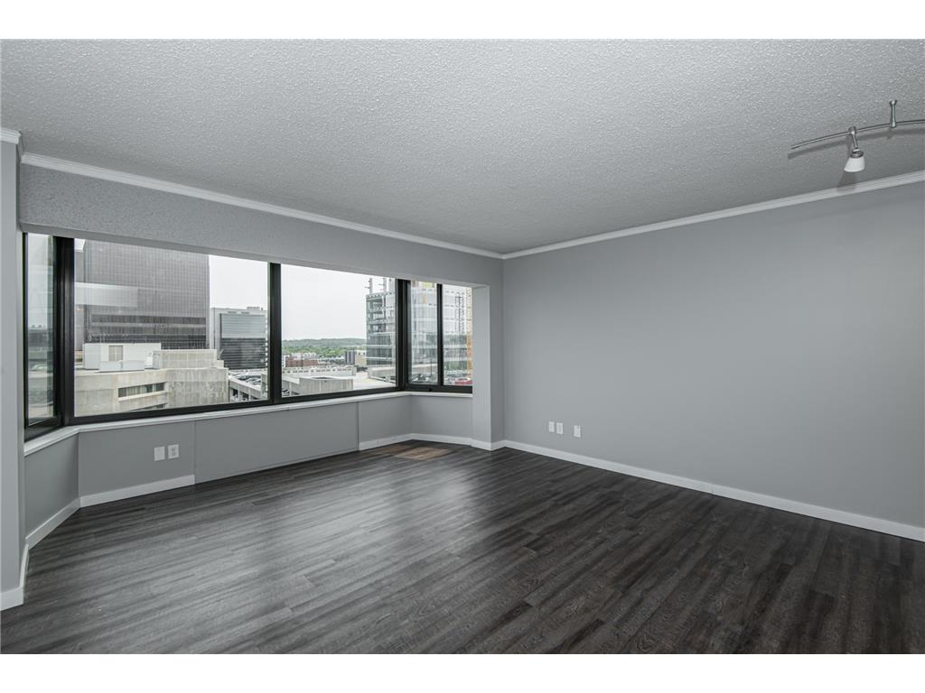 207 5th Avenue SW #805 Rochester MN 55902 7097080 image25