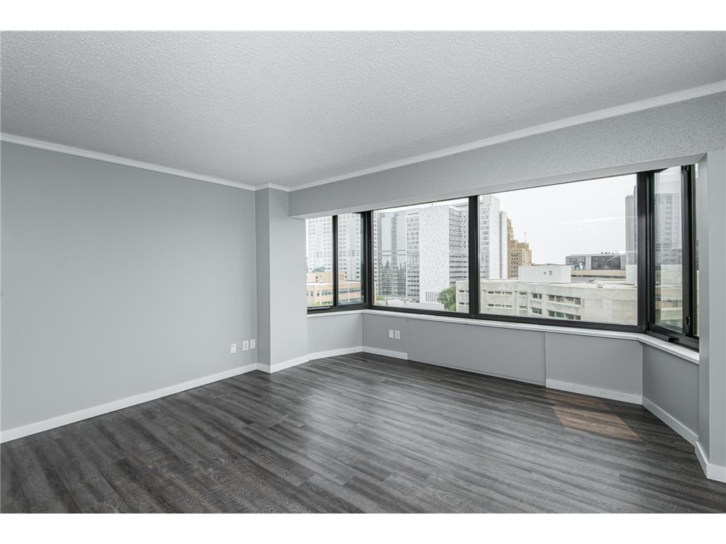 207 5th Avenue SW #805 Rochester MN 55902 7097080 image28