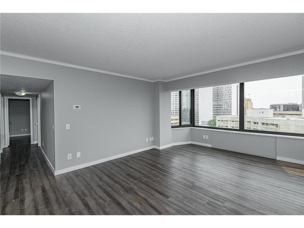 207 5th Avenue SW #805 Rochester MN 55902 7097080 image29