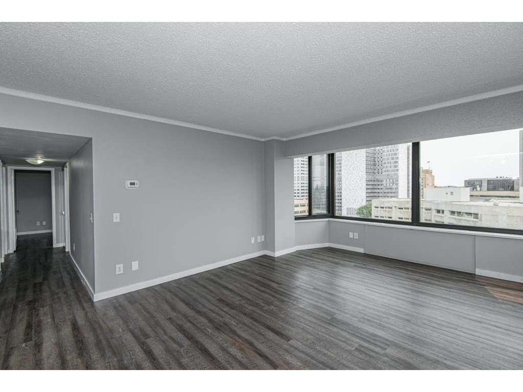 207 5th Avenue SW #805 Rochester MN 55902 7097080 image32