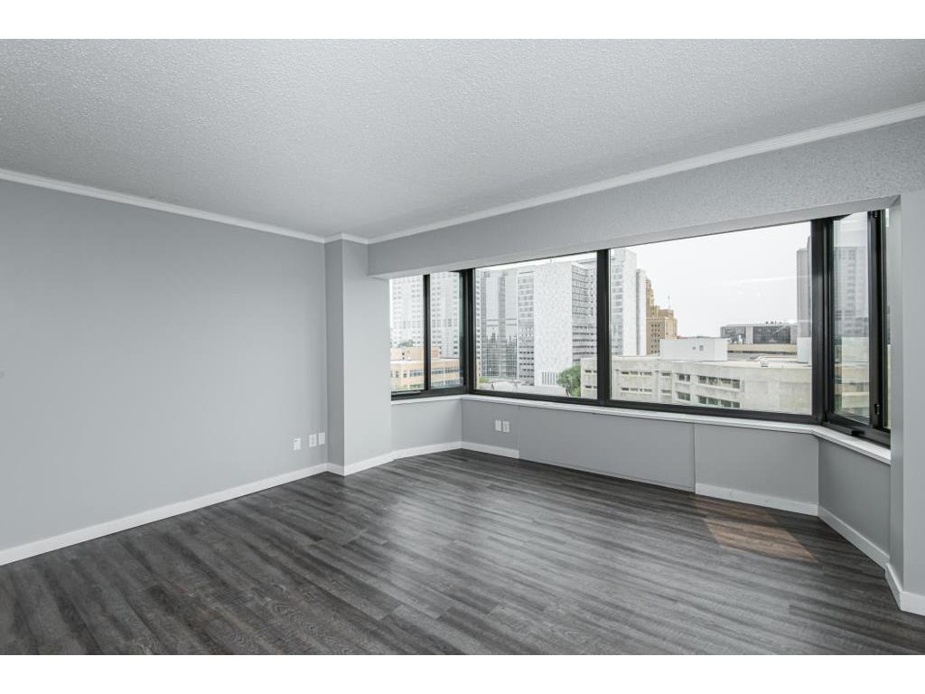 207 5th Avenue SW #805 Rochester MN 55902 7097080 image33