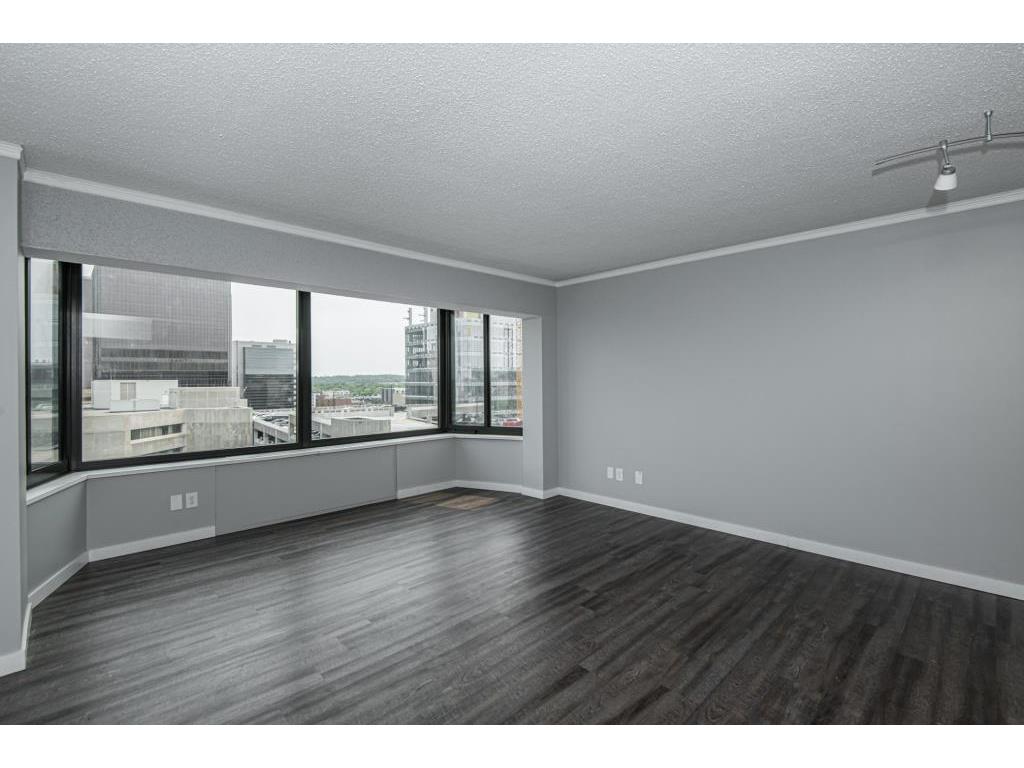 207 5th Avenue SW #805 Rochester MN 55902 7097080 image36