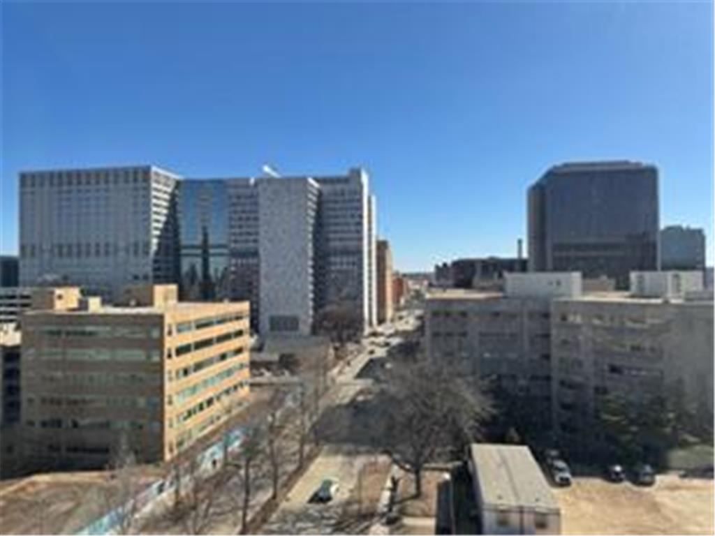 207 5th Avenue SW #808 Rochester MN 55902 7046984 image1