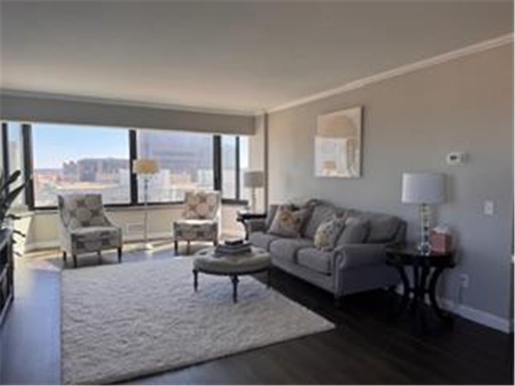 207 5th Avenue SW #808 Rochester MN 55902 7046984 image3