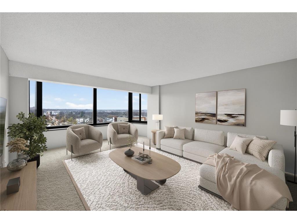 207 5th Avenue SW #902 Rochester MN 55902 6822035 image1