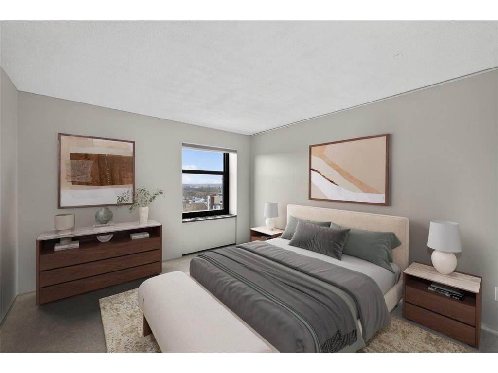 207 5th Avenue SW #902 Rochester MN 55902 6822035 image16