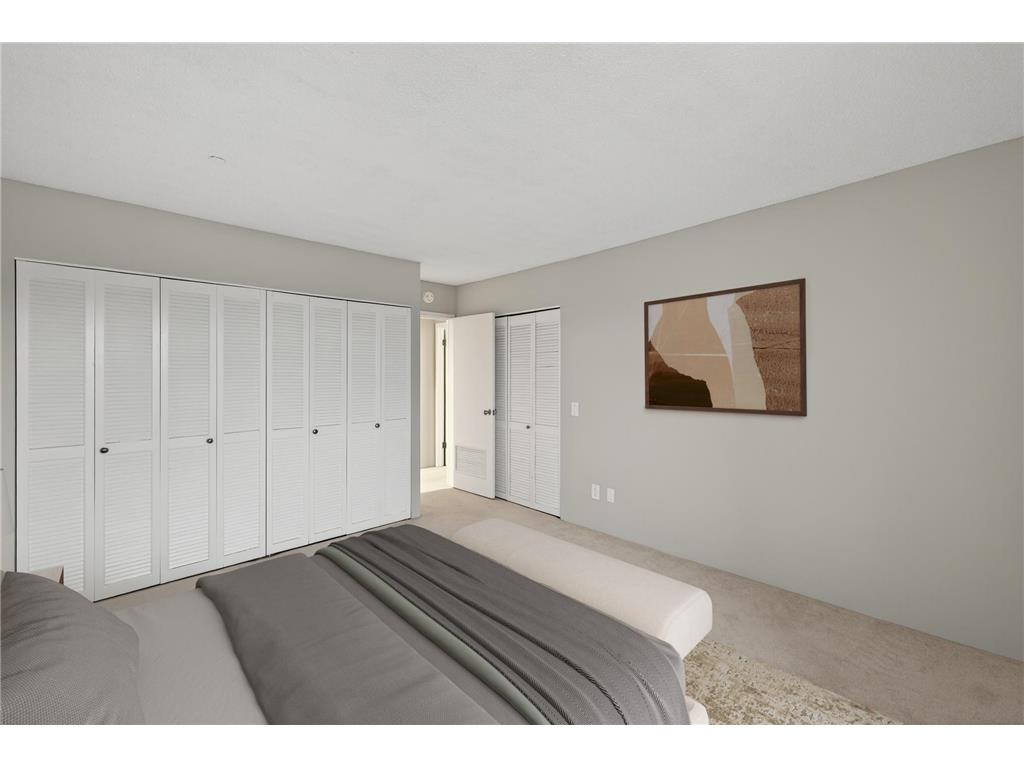 207 5th Avenue SW #902 Rochester MN 55902 6822035 image17