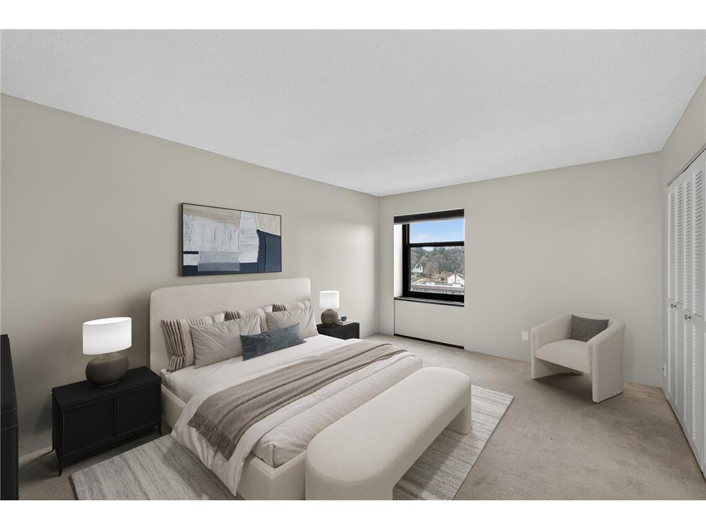 207 5th Avenue SW #902 Rochester MN 55902 6822035 image19