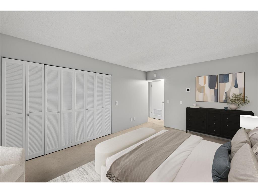 207 5th Avenue SW #902 Rochester MN 55902 6822035 image20