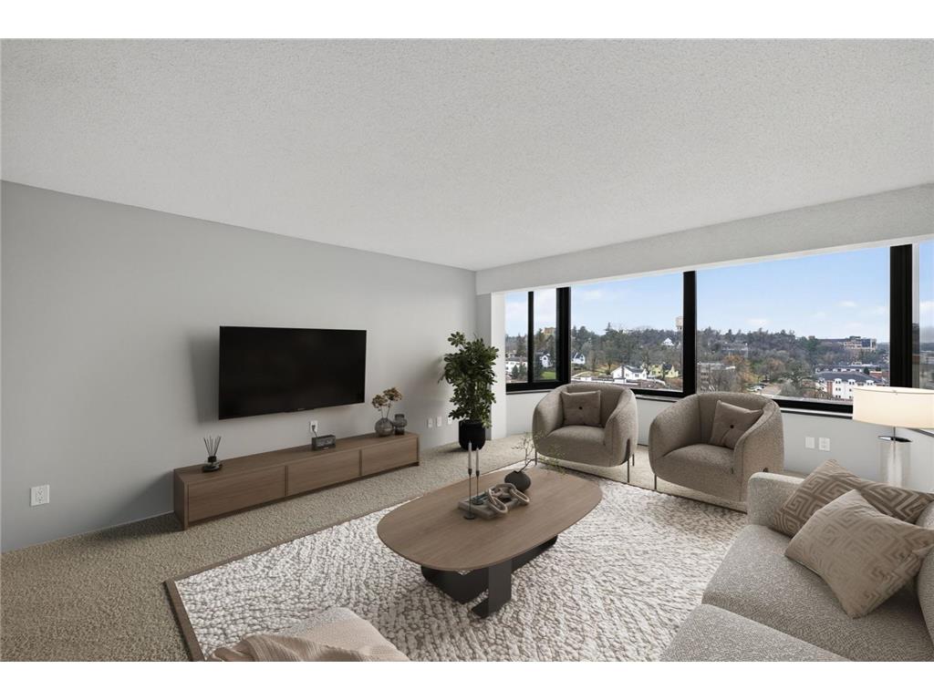 207 5th Avenue SW #902 Rochester MN 55902 6822035 image3