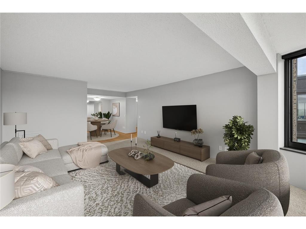 207 5th Avenue SW #902 Rochester MN 55902 6822035 image4