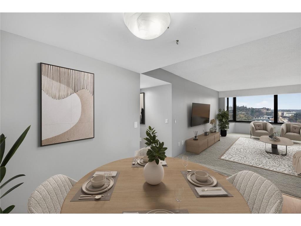 207 5th Avenue SW #902 Rochester MN 55902 6822035 image6