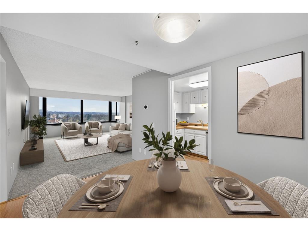 207 5th Avenue SW #902 Rochester MN 55902 6822035 image7