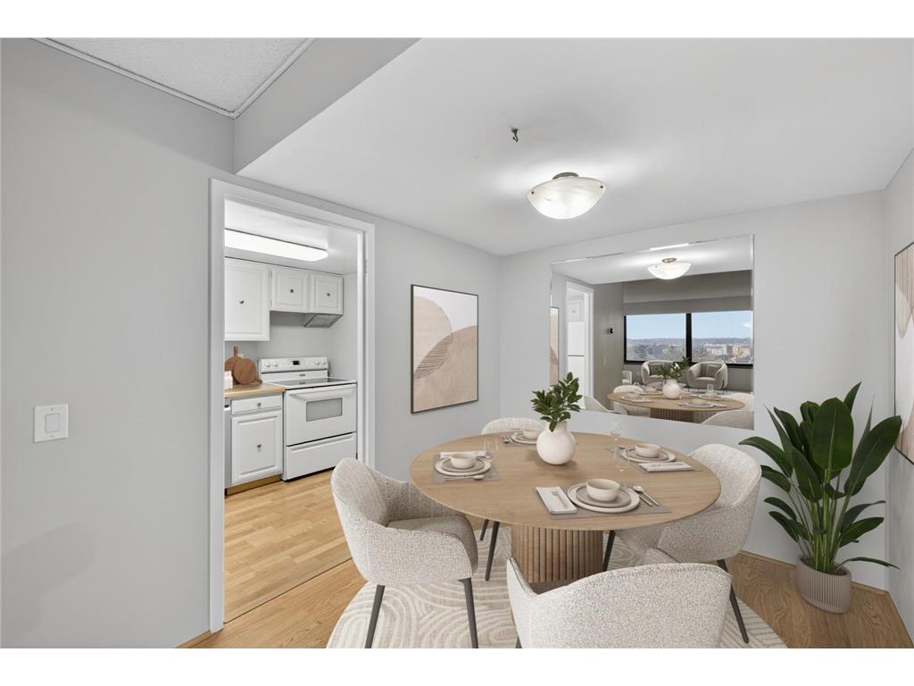 207 5th Avenue SW #902 Rochester MN 55902 6822035 image8