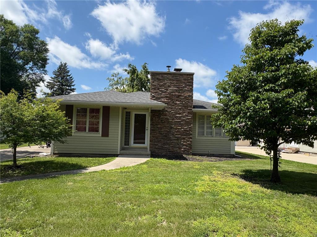 207 Meadow Lane Benson MN 56215 6751938 image1