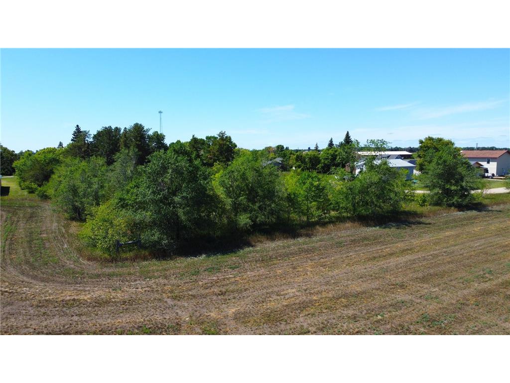 207 china Street Ottertail MN 56571 6798562 image7