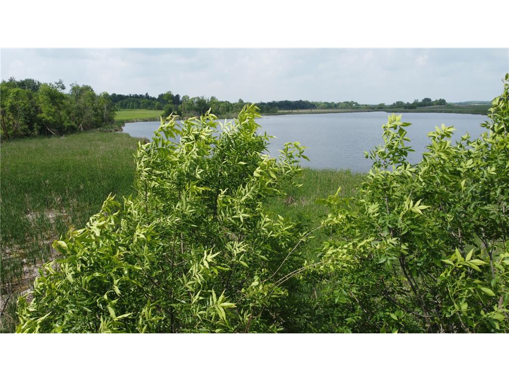 20710 Oakdale Road Tordenskjold Twp MN 56586 - Fiske 7023320 image10