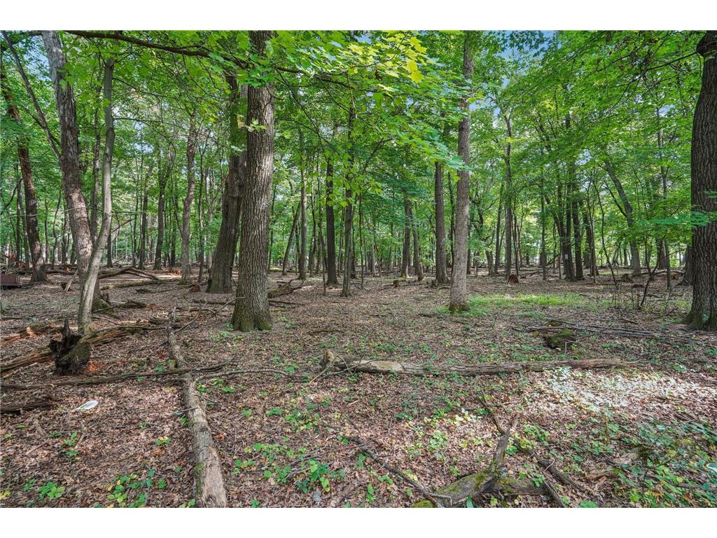 20715 Minnie B Grant Lane NE Linwood Twp MN 55092 6781438 image50