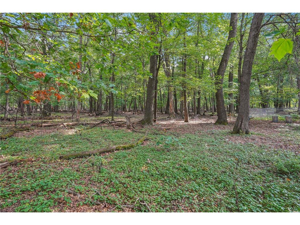 20715 Minnie B Grant Lane NE Linwood Twp MN 55092 6781438 image53