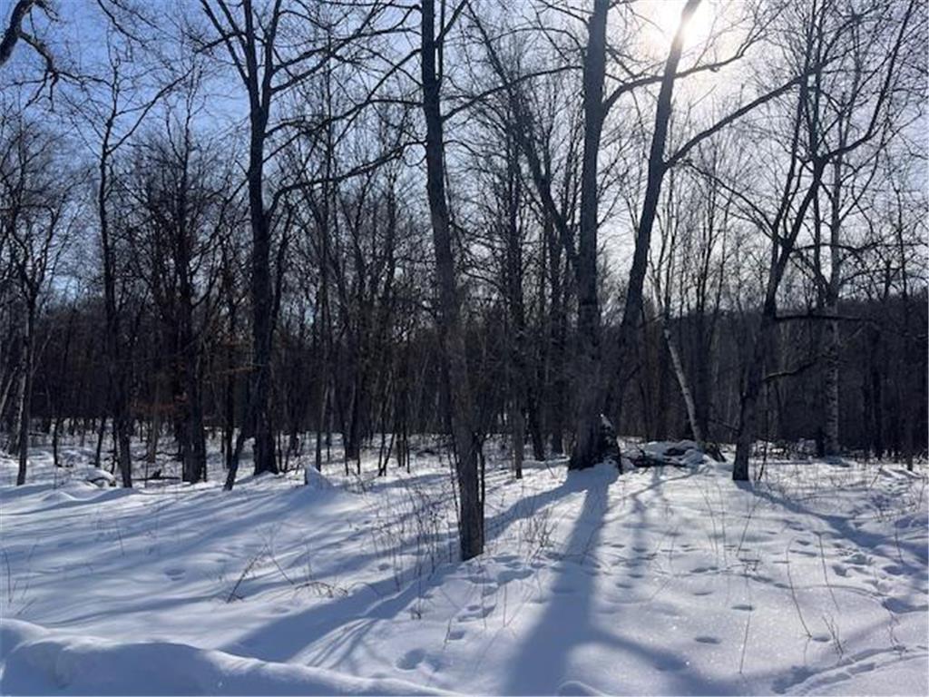 2072 209th Street Eureka WI 54824 7017302 image14