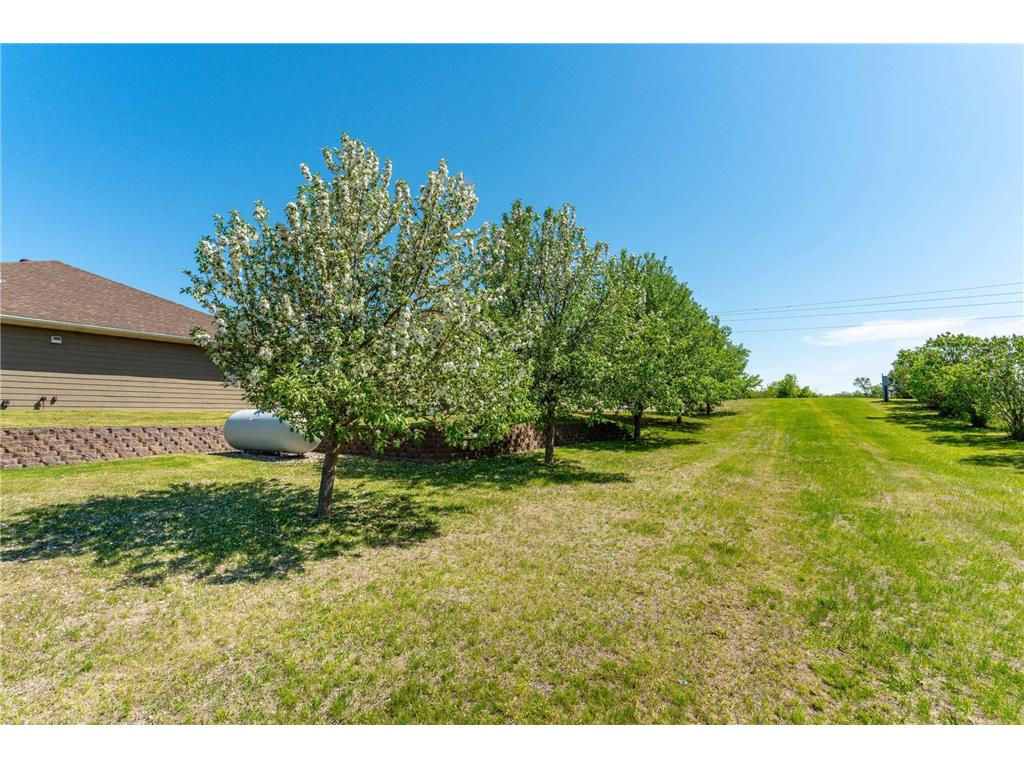 20733 E Dane Prairie Road Dane Prairie Twp MN 56537 7031915 image88