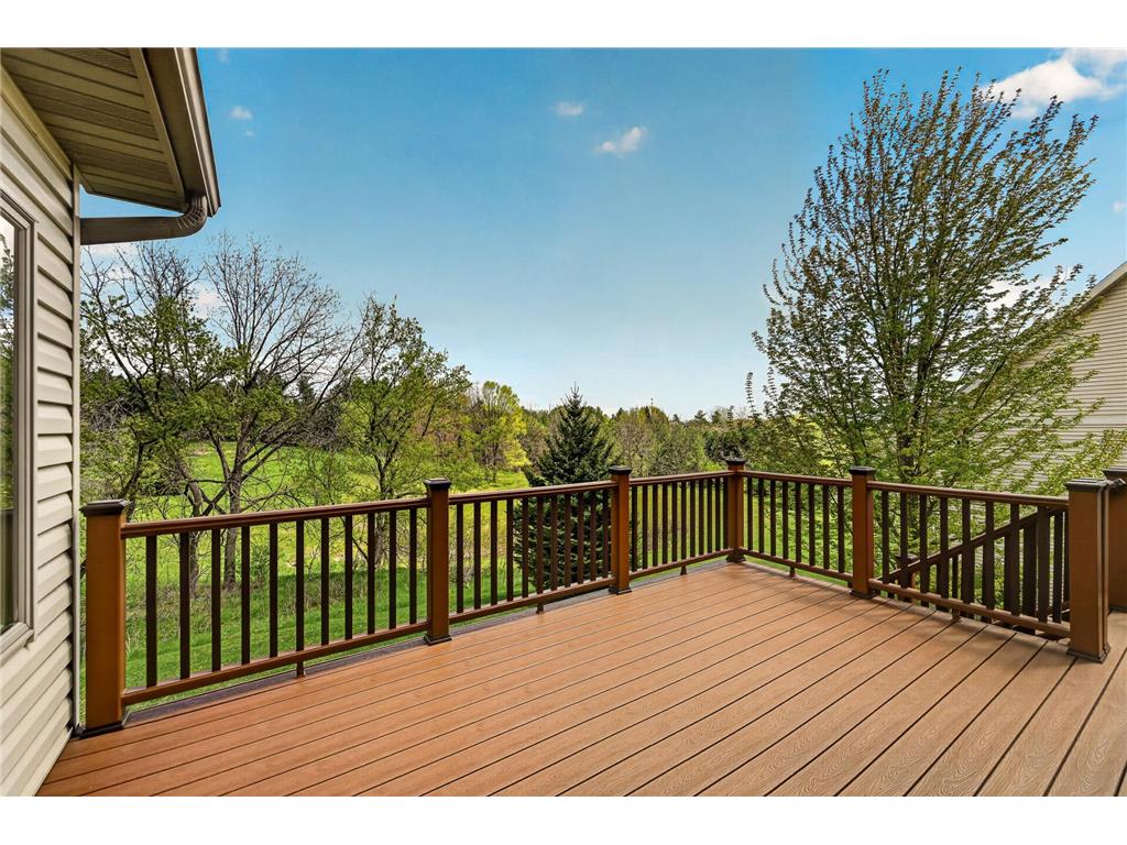 2074 Shannon Oaks Boulevard NE Rochester MN 55906 7065789 image36