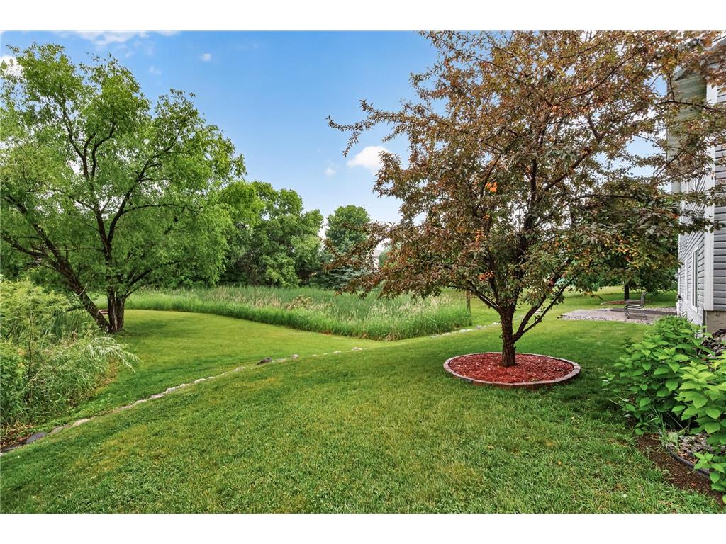 20742 Grafton Avenue N Forest Lake MN 55025 7093596 image46