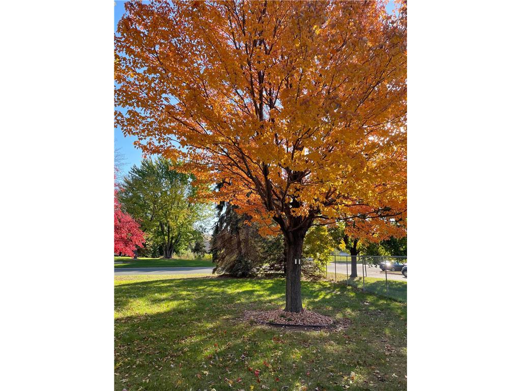 2075 13th Avenue W Shakopee MN 55379 6794539 image31