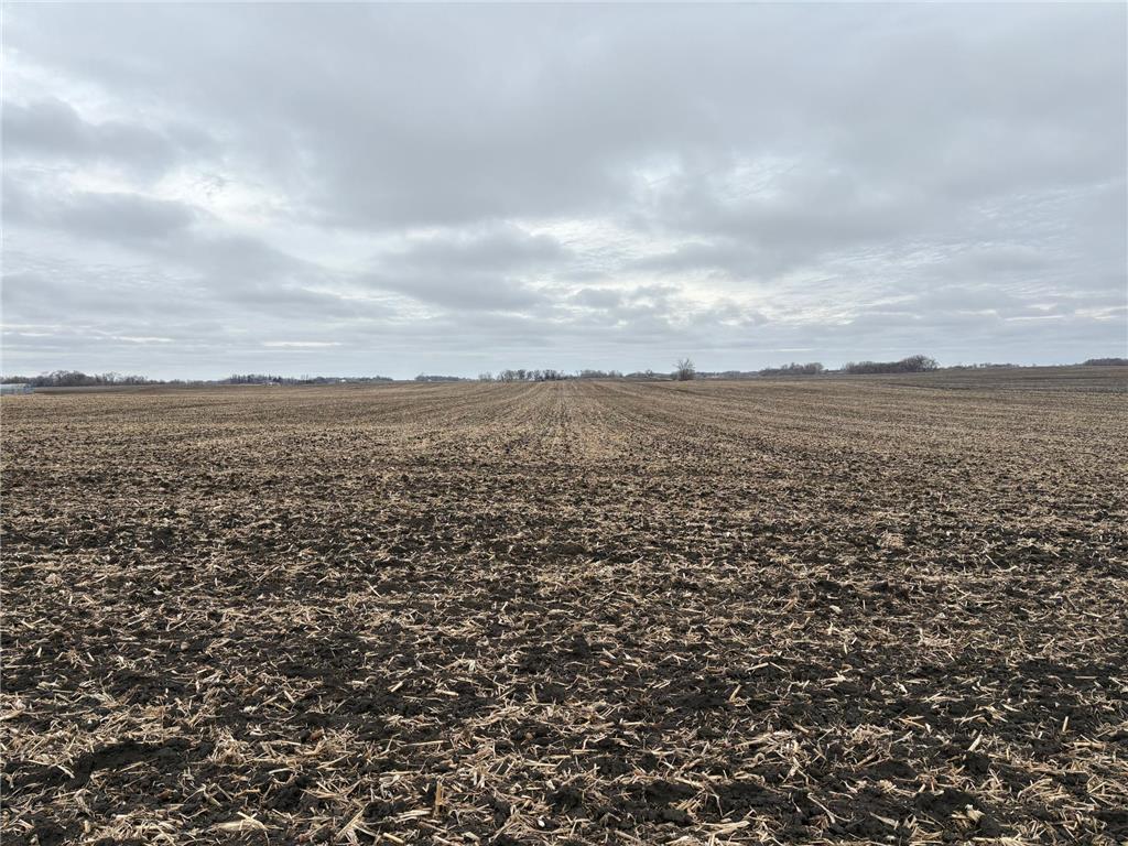 2075 80th Street SW Sparta Twp MN 56265 7034684 image10