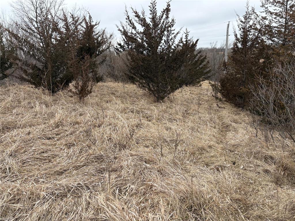 2075 80th Street SW Sparta Twp MN 56265 7034684 image18